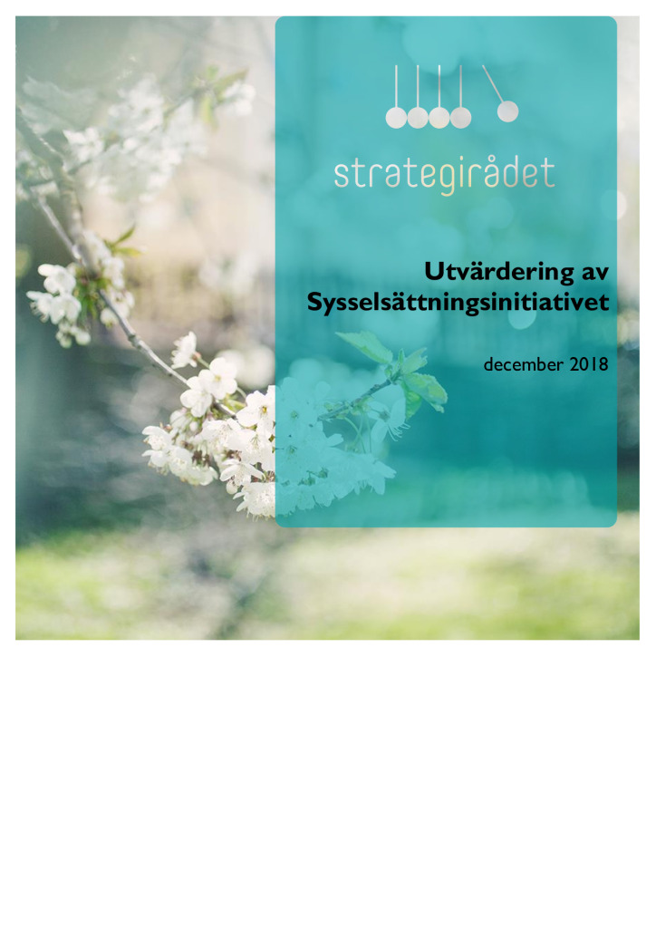 Utvärdering av Sysselsättningsinitiativet för unga